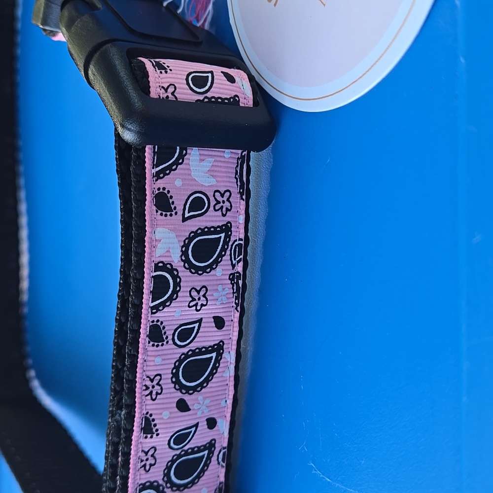 New! Pink Paisley Dog Collar Size Large